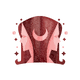 Virgo